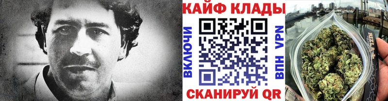 Наркотические вещества Каменск-Шахтинский Псилоцибиновые грибы  Альфа ПВП  ГАШ  LSD-25  КОКАИН  Меф 