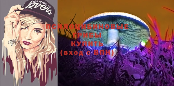 стафф Абдулино