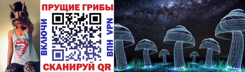 Галлюциногенные грибы Psilocybine cubensis Каменск-Шахтинский